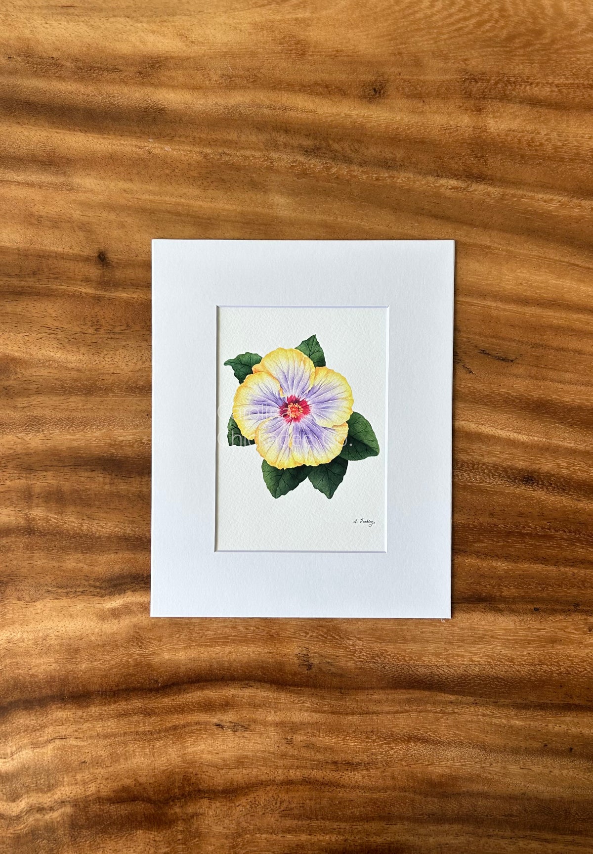 The Nicole Voodoo Hibiscus