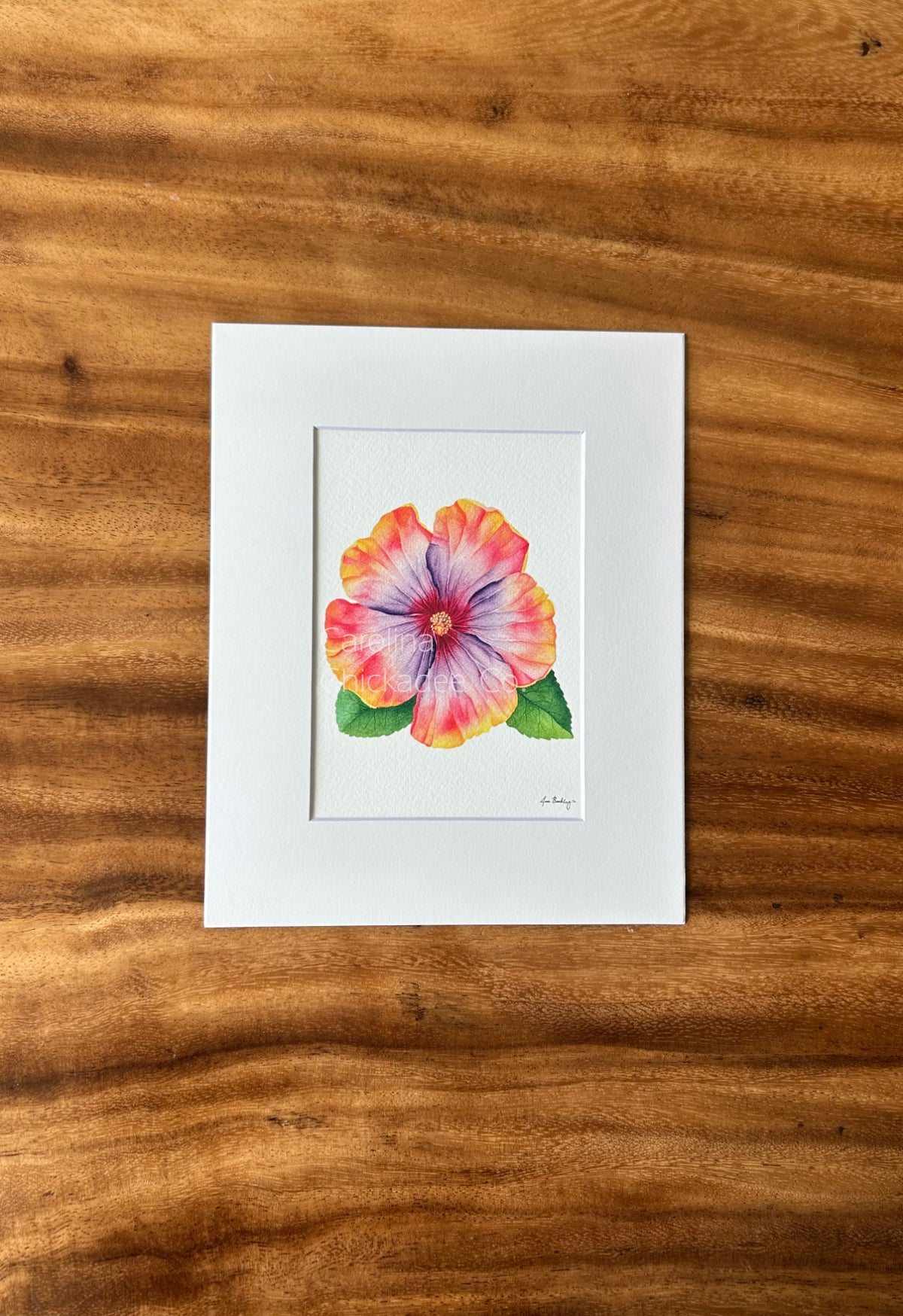 The April Space Oddity Hibiscus