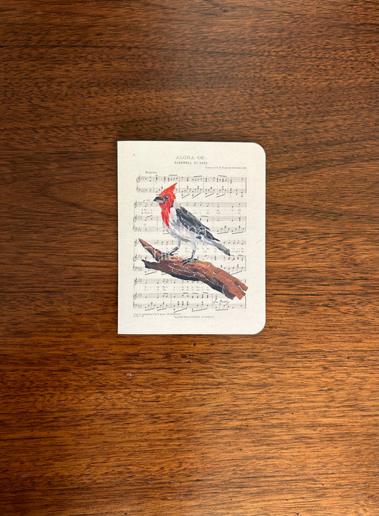 Aloha Oe - Red Crested Cardinal Card