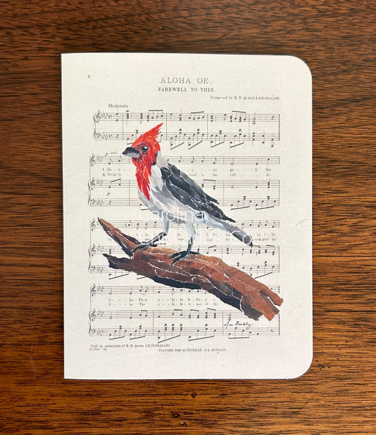 Aloha Oe - Red Crested Cardinal Card