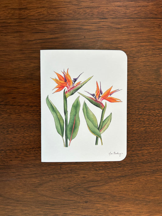 Bird of Paradise Card
