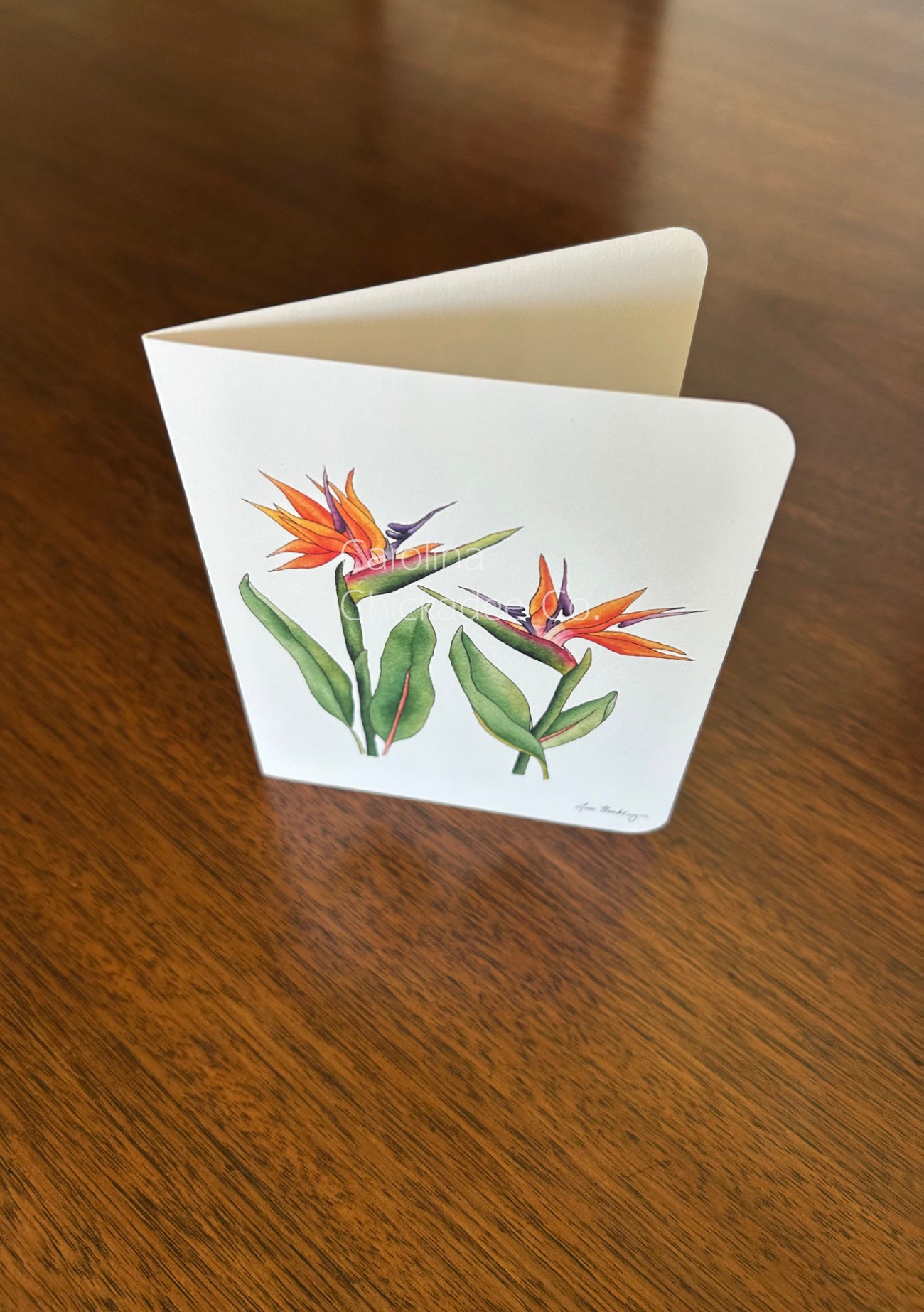 Bird of Paradise Card