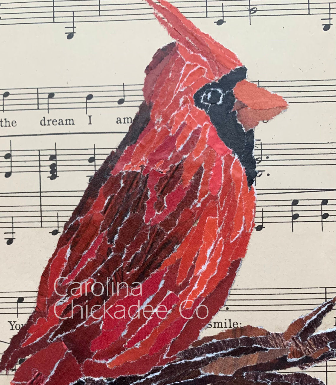 Someday I'll Find You - Cardinal Collage