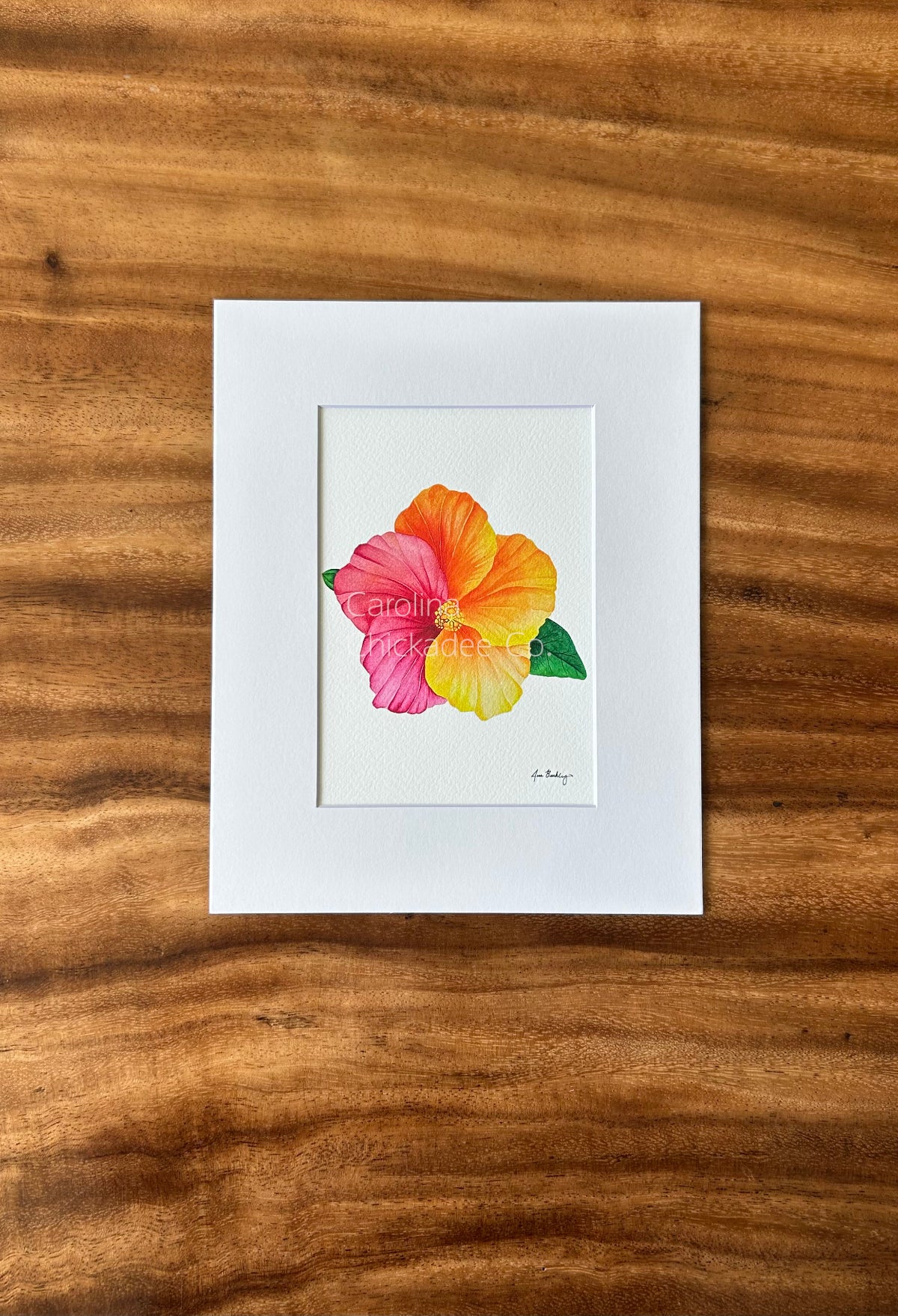 The Lorelei Hibiscus