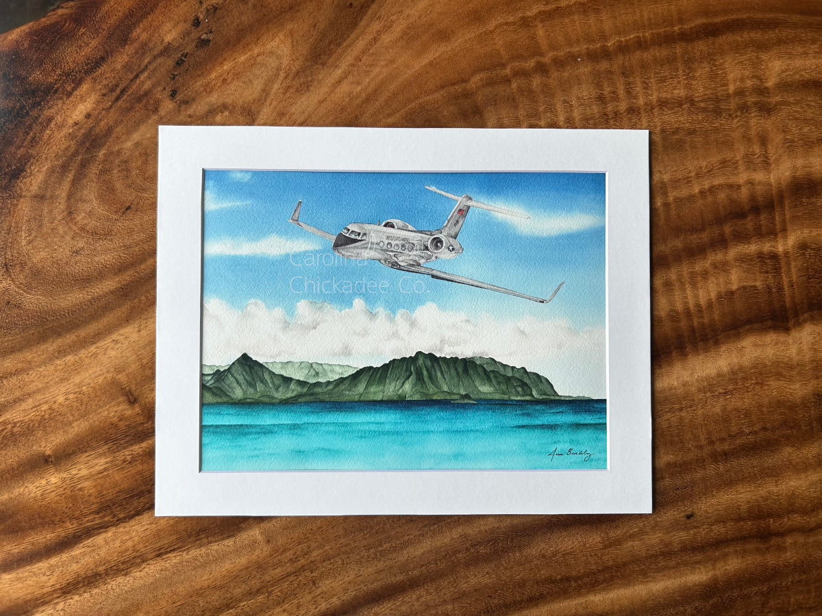 The Grey Ghost Over Kaneohe Bay
