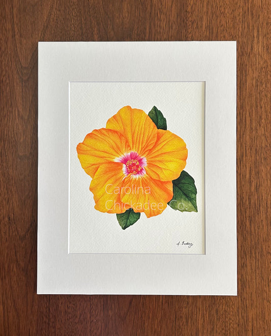 Orange Hibiscus Watercolor Print