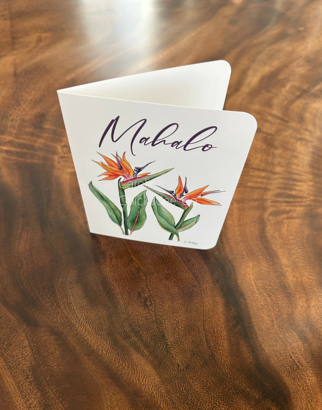 Mahalo Bird of Paradise