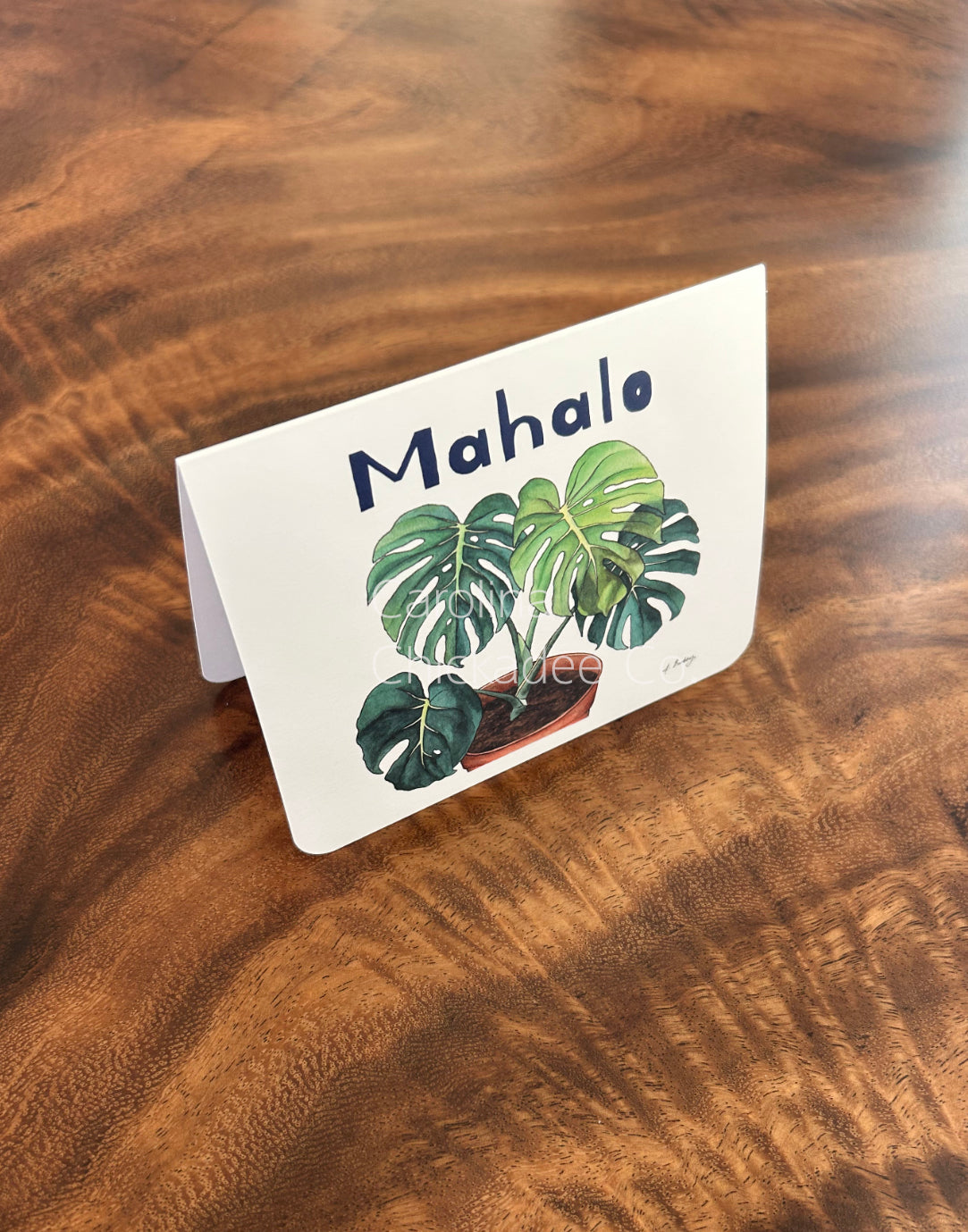 Mahalo Potted Monstera