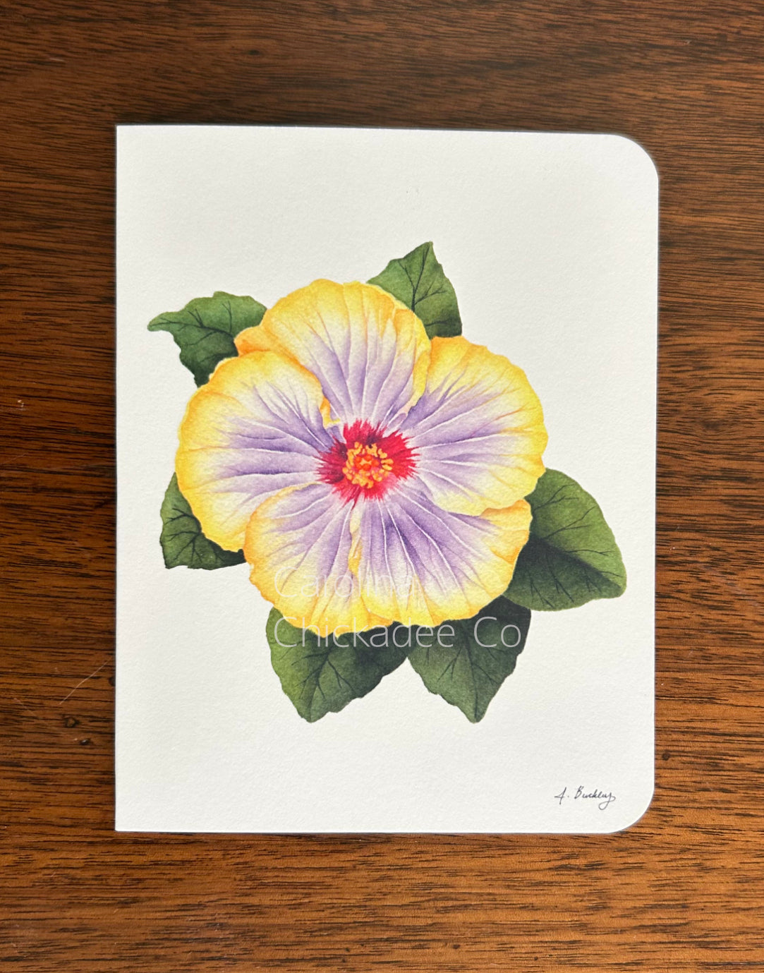 The Nicole Voodoo Hibiscus Card