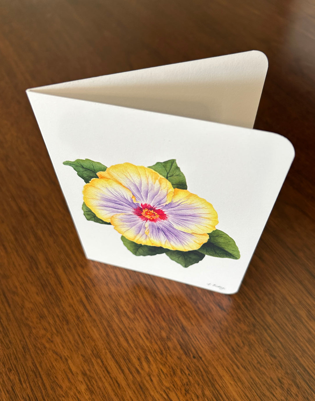 The Nicole Voodoo Hibiscus Card
