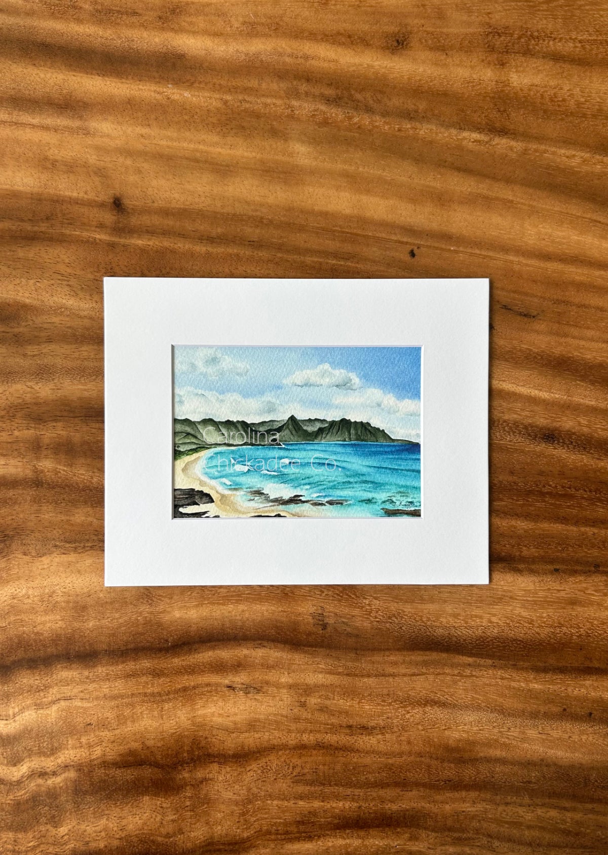 North Beach Landscape