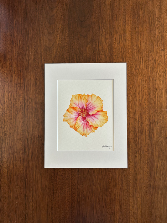 Hollywood Sunset Single Bloom Hibiscus Watercolor Print