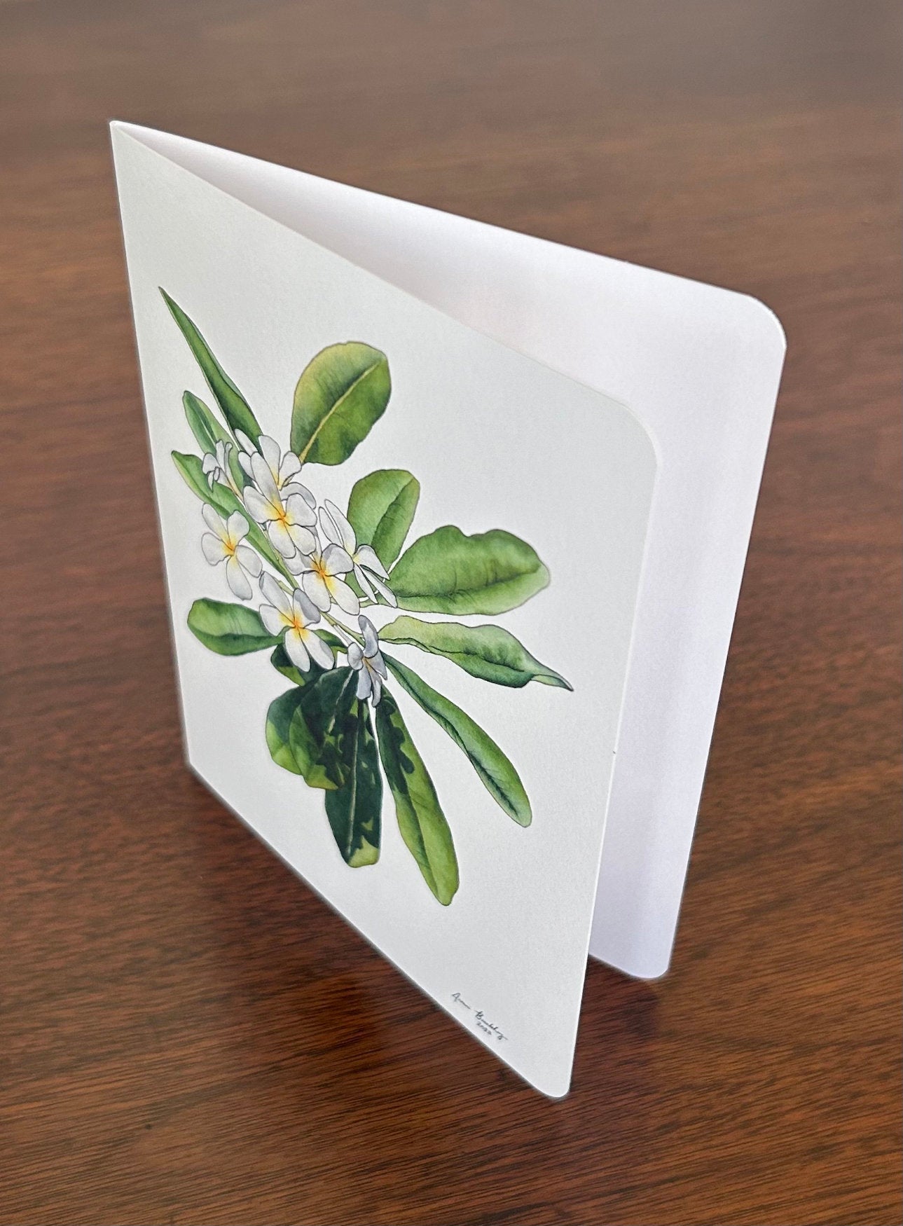 Plumeria Card