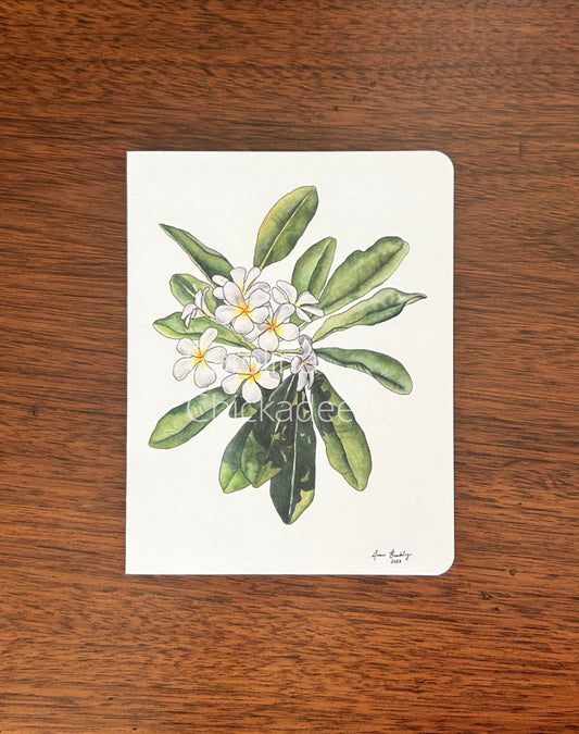 Plumeria Card