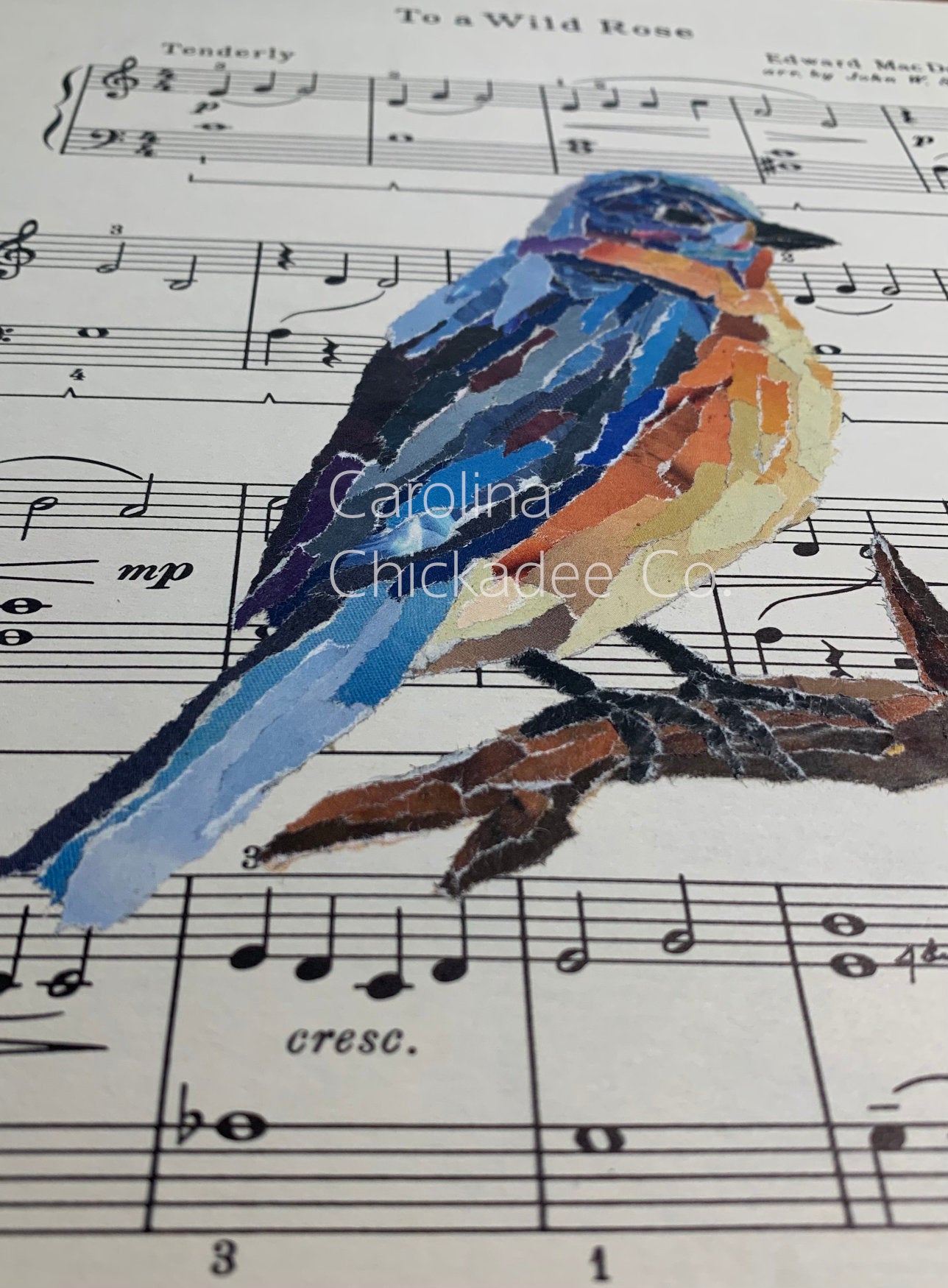 To a Wild Rose - Bluebird Collage
