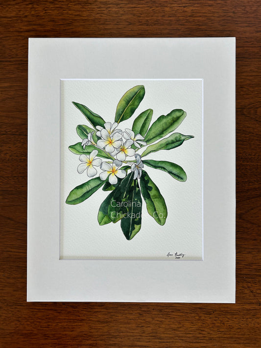 Watercolor Plumeria Print