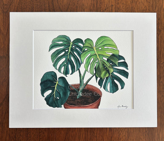 Potted Monstera Watercolor Print