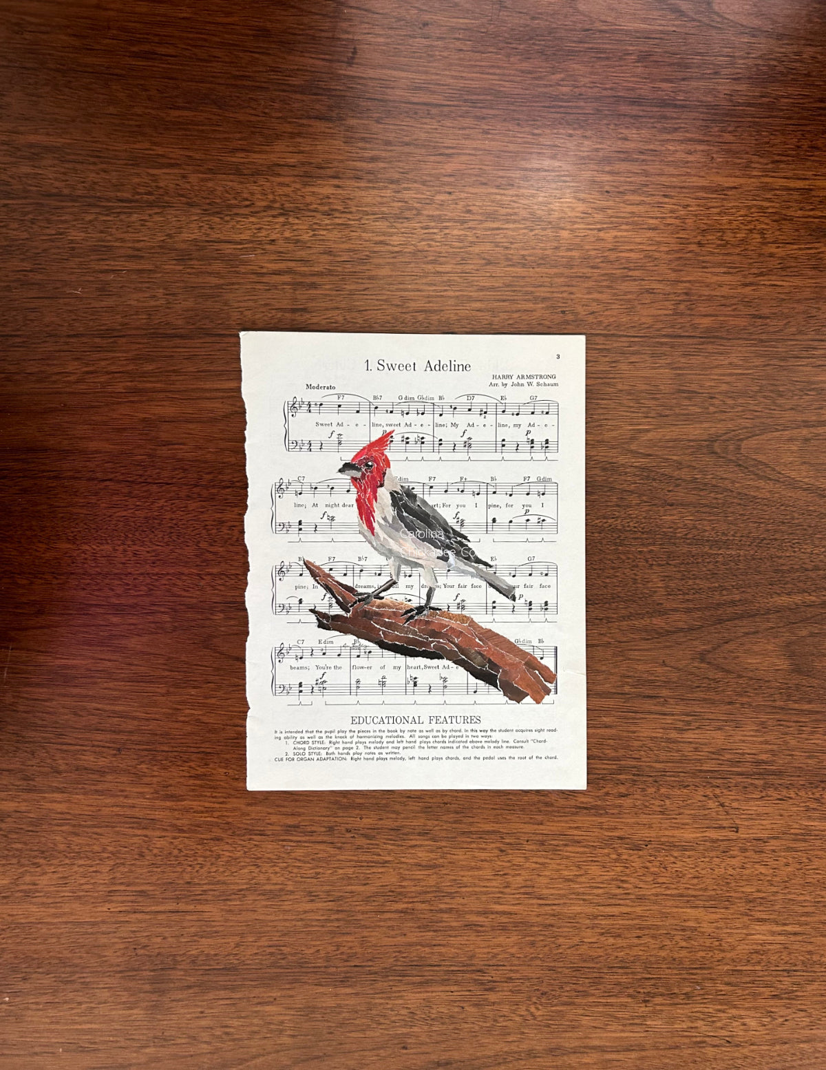 Sweet Adeline - Red-Crested Cardinal Collage