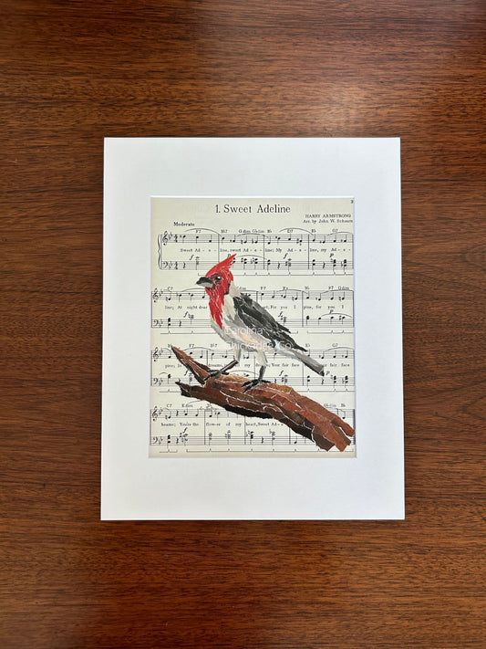 Sweet Adeline - Red-Crested Cardinal Collage