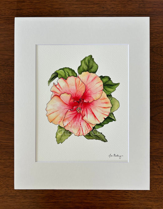 Coral Hibiscus Watercolor Print